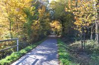 Am Radweg Donau-Ilz