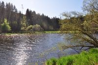 Fr&uuml;hling im Ilztal